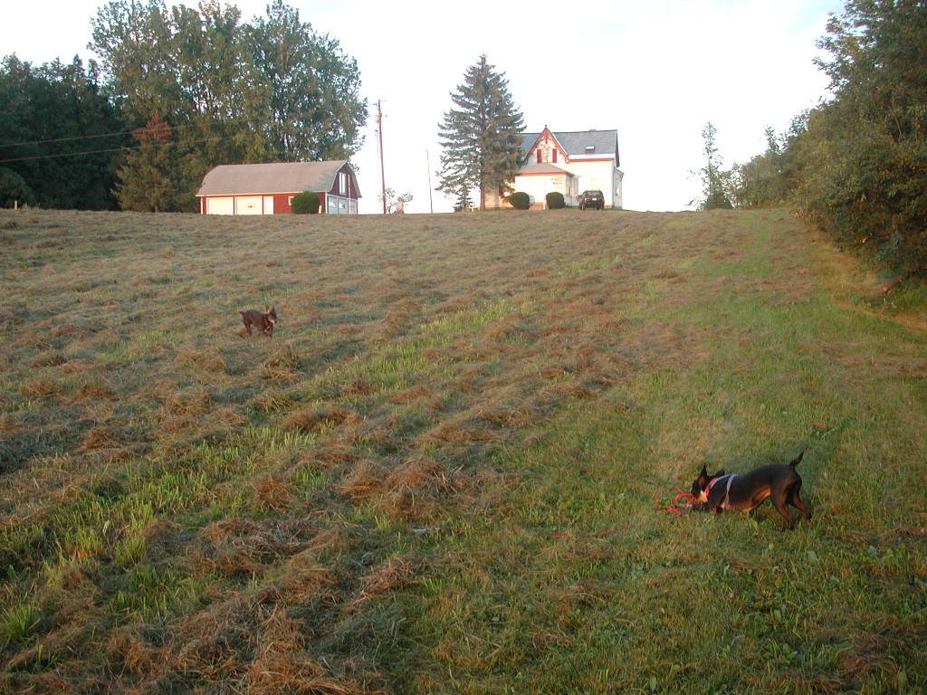 Vermont to Connecticut, Virginia or anywhere in between - hay is hay and tractors break down. You'd better be able to think for yourself if you want to live in the country - or do business with people who do.