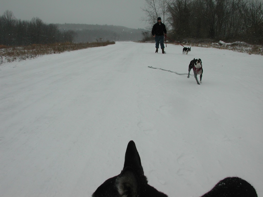 We go in the snow.