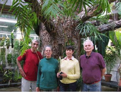 EEB greenhouse tree made for "air-growers" courtesy of CT Orchid Society.