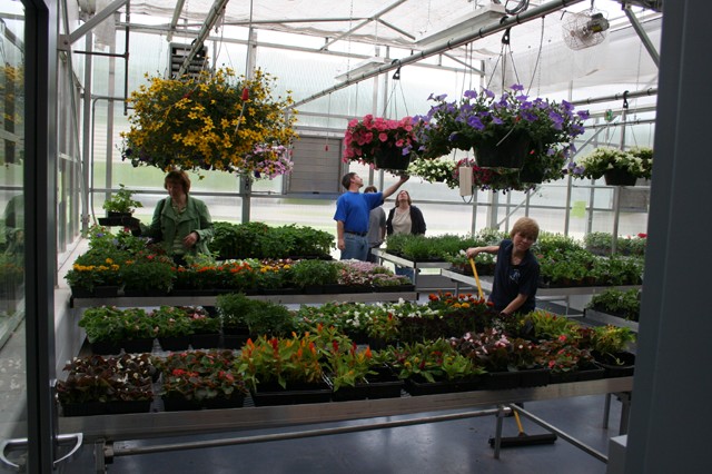 At the vo-ag open house at Middletown, Connecticut.