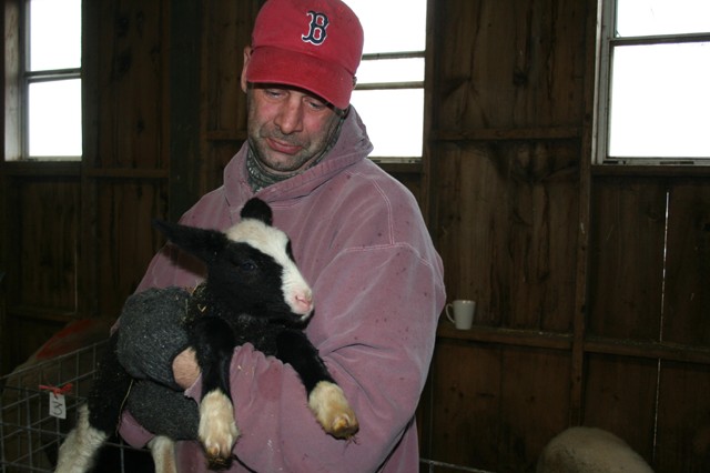 Life begins another cycle. Lambing time at Beaver Brook Farm in Lyme, Connecticut.