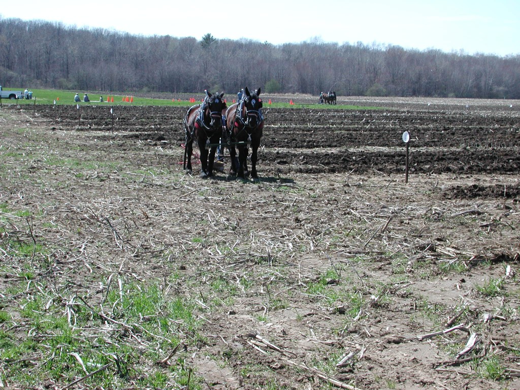Almost time. April 17 is spring plow day.