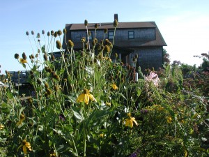 Meigs Point Nature Center offers a butterfly garden all summer and plenty of activities for the whole family.