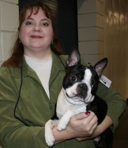 Angie McFarland with her Boston terrier Margrave Theodore of Grandview at the 80th annual First Company Governor's Foot Guard AKC dog show in Connecticut.