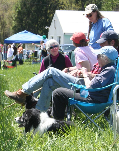 At the dog trials, Connecticut Sheep and Wool festival.